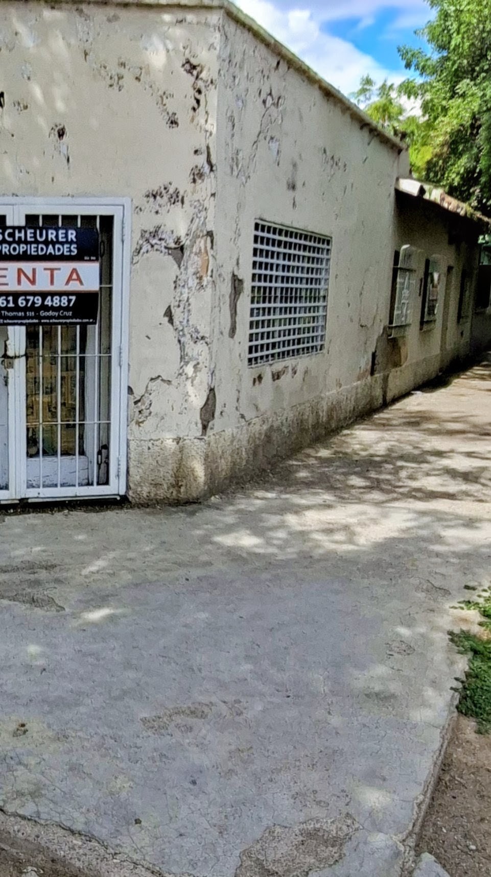 Vista 5
